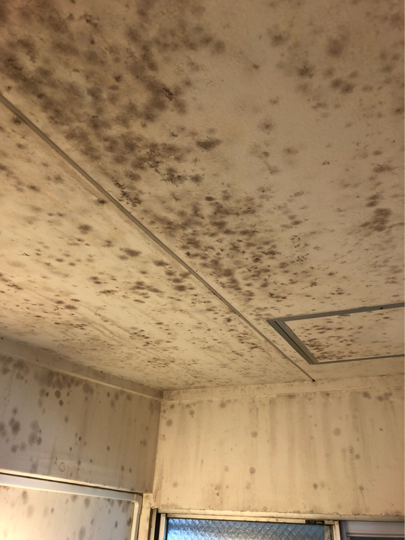 浴室天井のカビ汚れ